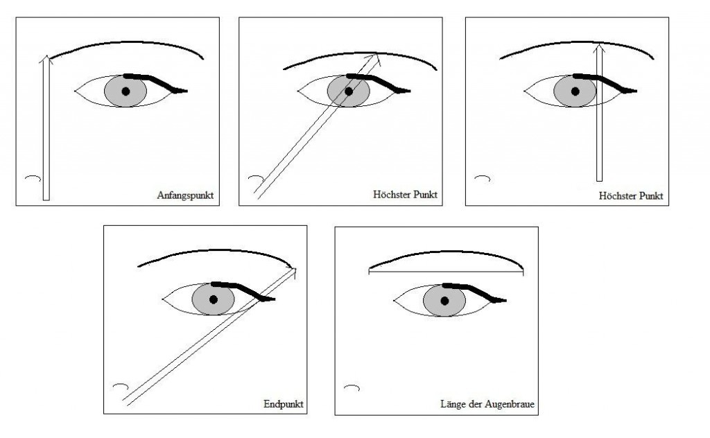 Tipps und Anleitung zur Augenbrauenschablone › Anleitungen - Vorlagen